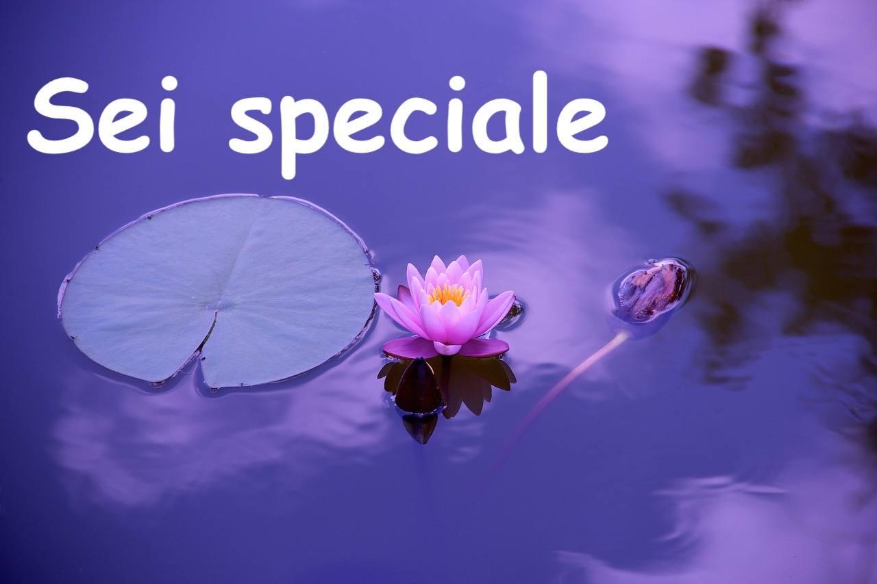  un fiore di loto su uno stagno violaceo con scritto sei speciale 